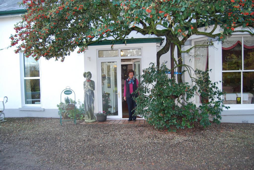 Grange Lodge Country House Dungannon Dış mekan fotoğraf